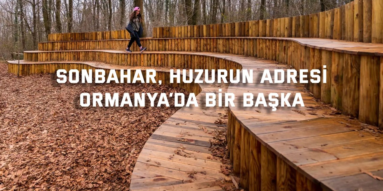 Sonbahar, huzurun adresi Ormanya’da bir başka