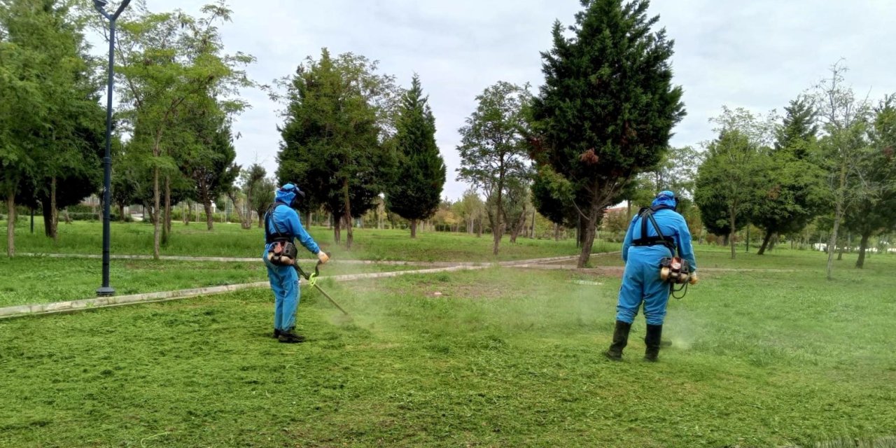 Dilovası Millet Bahçesi dip köşe temizleniyor