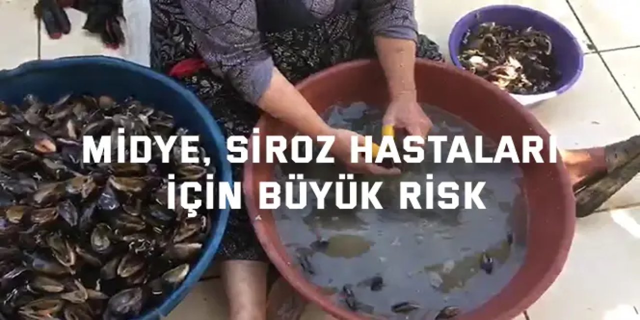 Midye, siroz hastaları için büyük risk
