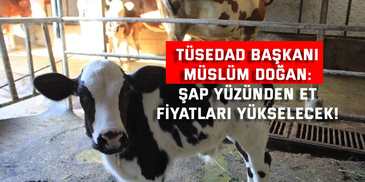 TÜSEDAD BAŞKANI MÜSLÜM DOĞAN    Şap yüzünden et  fiyatları yükselecek!