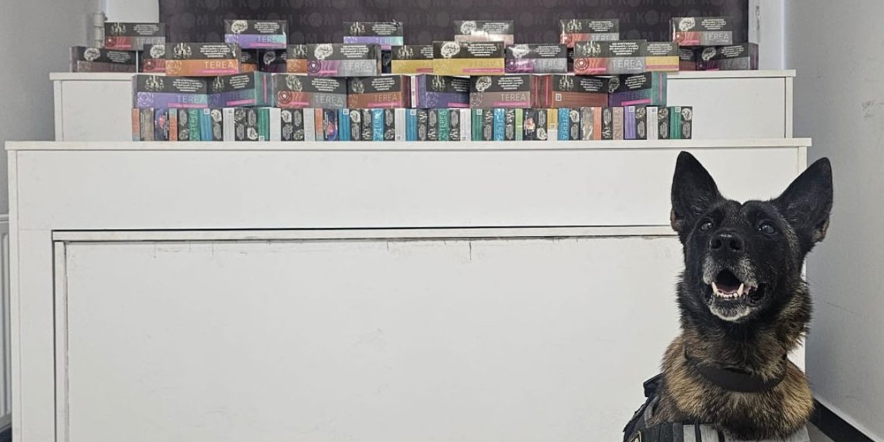 Elektronik Sigara Kaçakçılığı Operasyonu: 600 Paket Kartuş Ele Geçirildi