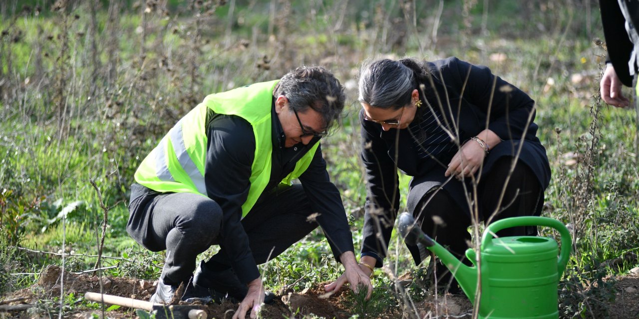MOSFED TÜRKİYE    7 Bölgede Her Biri 10 Bin  Ağaçtan Yedi Orman Kuruyor