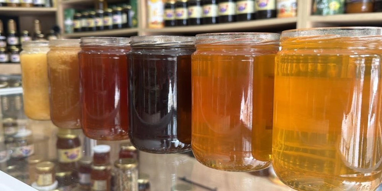 15 ARALIK'TA    Okullarda "Coğrafi İşaret Günü" kutlanacak