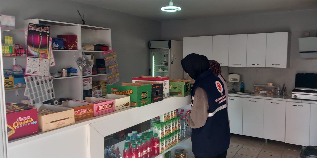 Okul Kantinleri ve Yemek  Firmaları Denetimde!