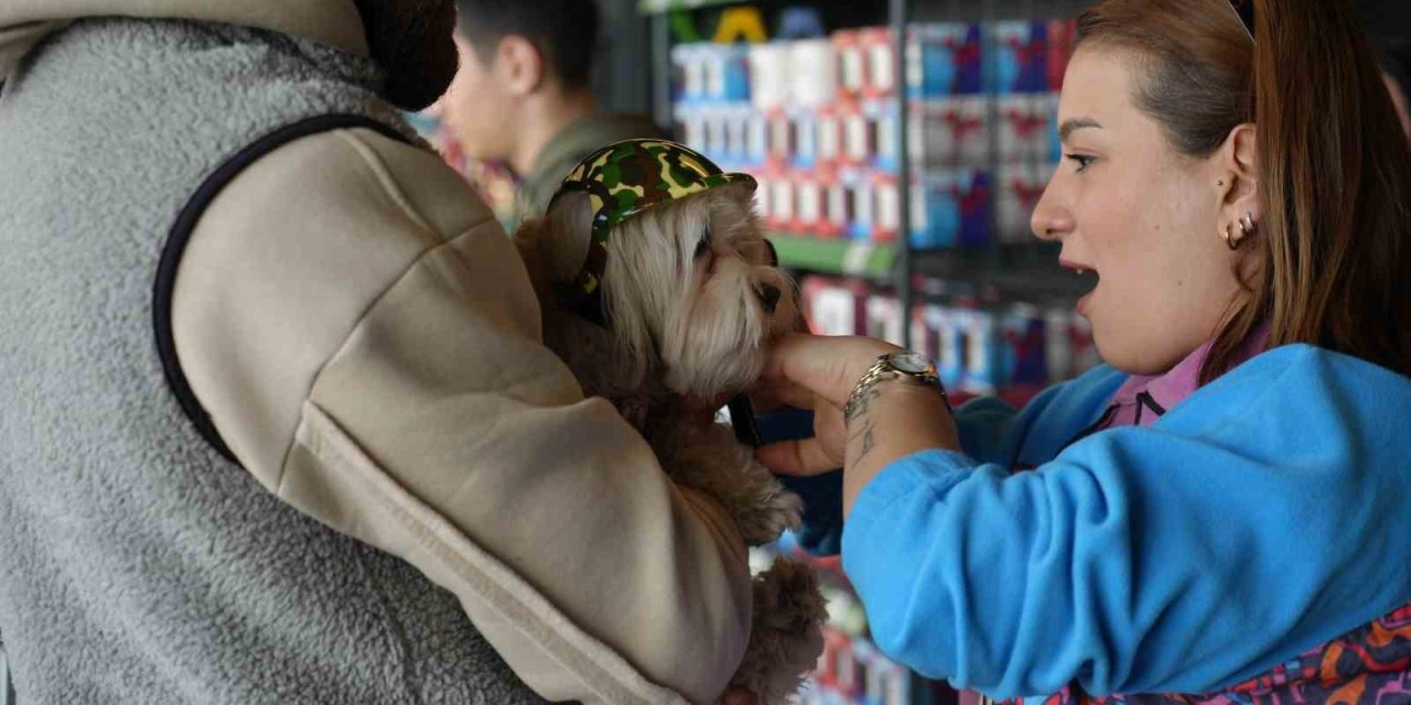 En çok evcil hayvanlar  ile ilgili ürünler pahalandı