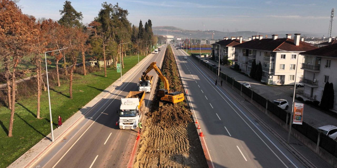 Ağaçlar yeni yerlerinde hayat bulacak