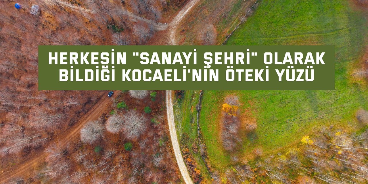 Herkesin "sanayi şehri" olarak bildiği Kocaeli'nin öteki yüzü