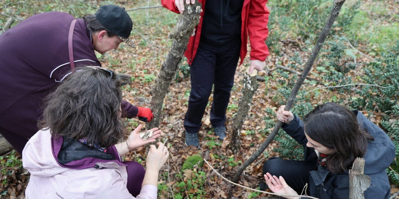 Mantar avıyla doğanın tadını çıkardılar