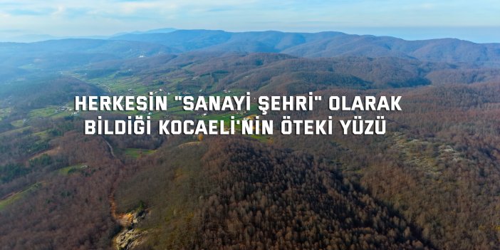 Herkesin "sanayi şehri" olarak  bildiği Kocaeli'nin öteki yüzü