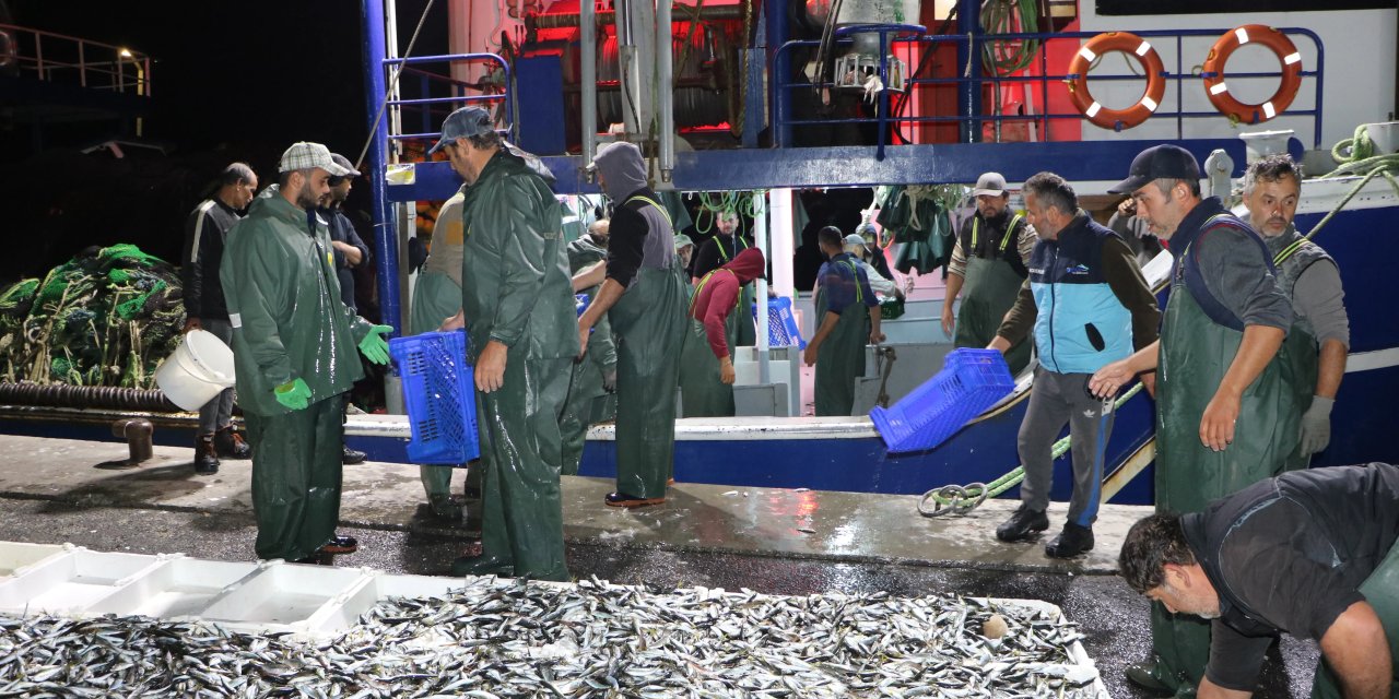 Av Sezonunun İlk 3 Ayında  Şampiyon Hamsi Oldu