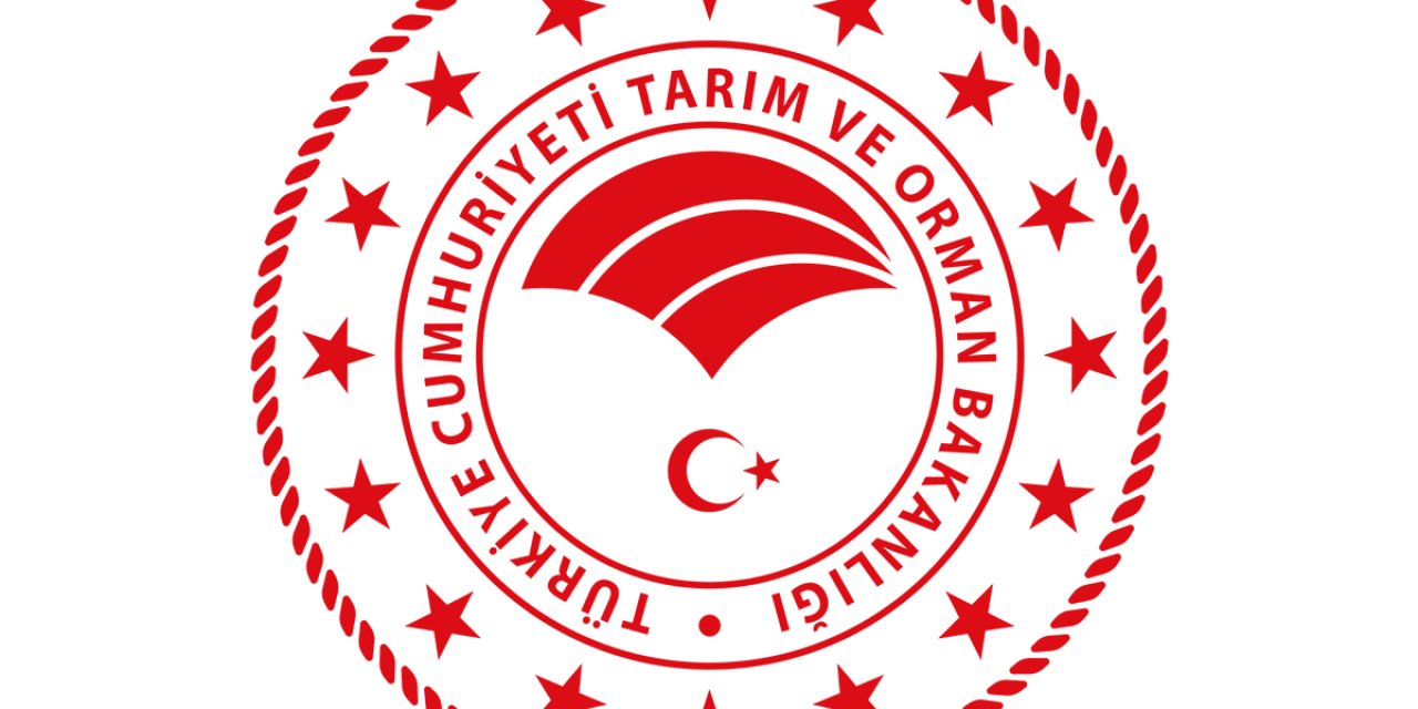 2026 Kamu Yatırımları İçin Yeni Dönem Başlıyor