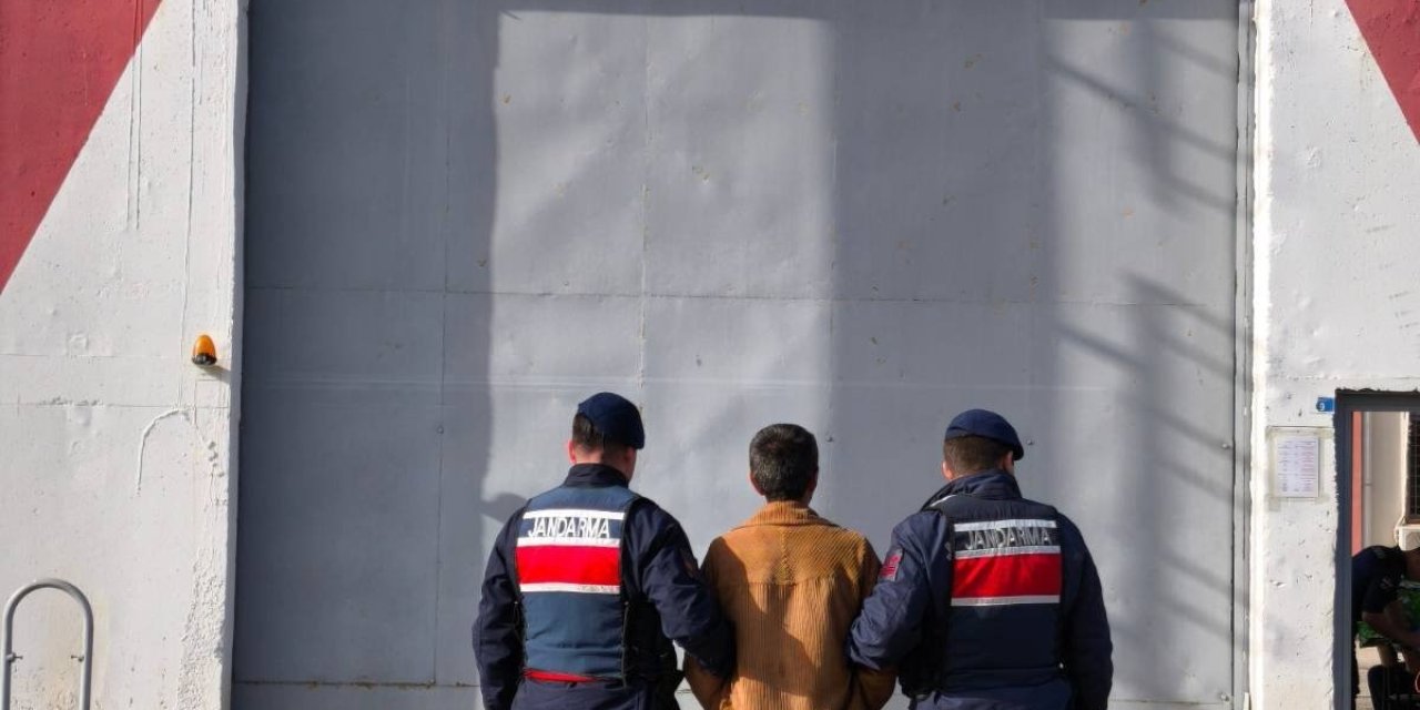 Yasadışı kenevir ekimine 14 yıl hapis