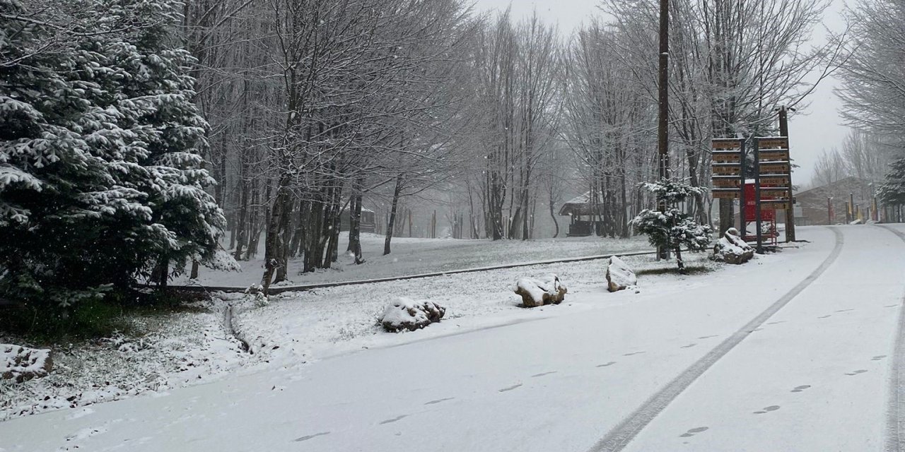 Kartepe'ye lapa lapa kar yağıyor