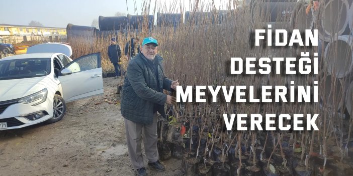 Fidan desteği meyvelerini verecek