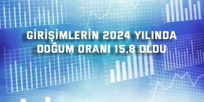 Girişimlerin 2024 yılında doğum oranı 15,8 oldu.