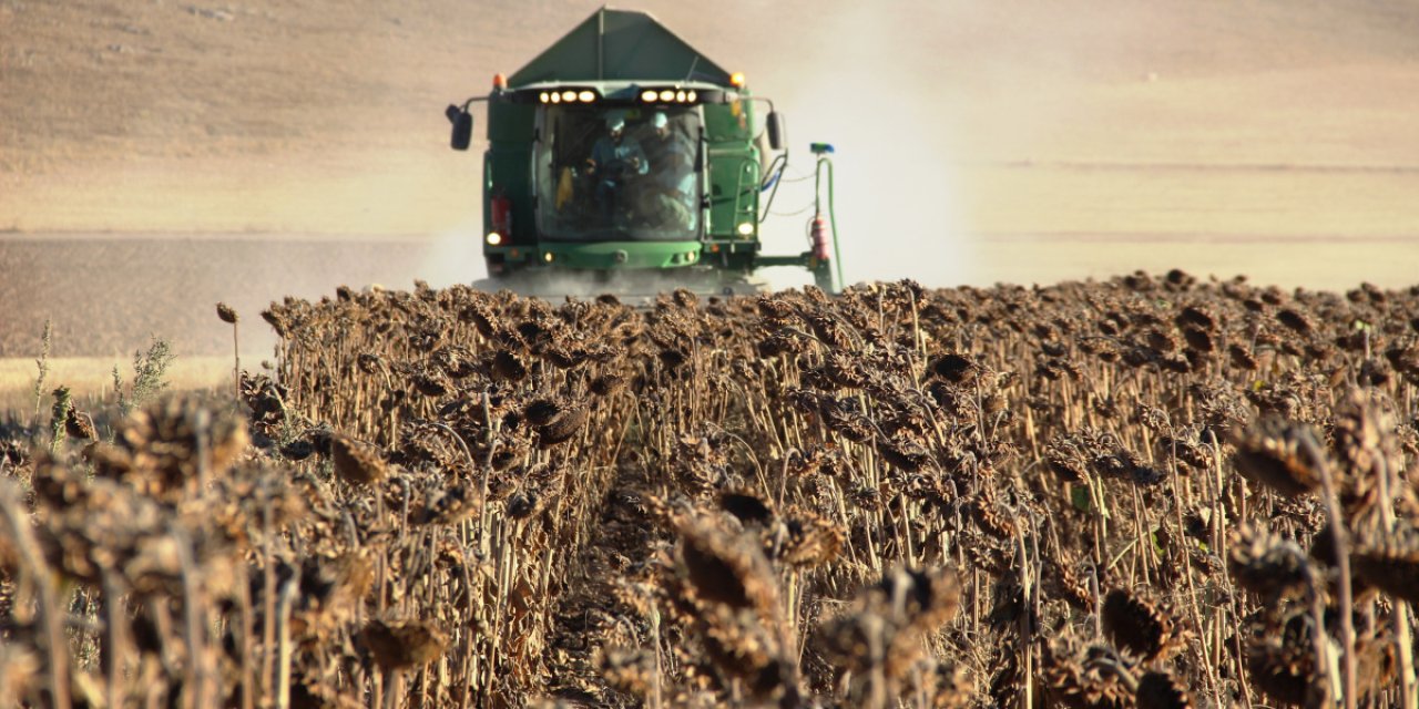Tarım Ürünleri Lisanslı Depoculukta 2026 Cezaları Açıklandı: Para Cezaları 1,8 Milyon TL’ye Kadar Çıkıyor