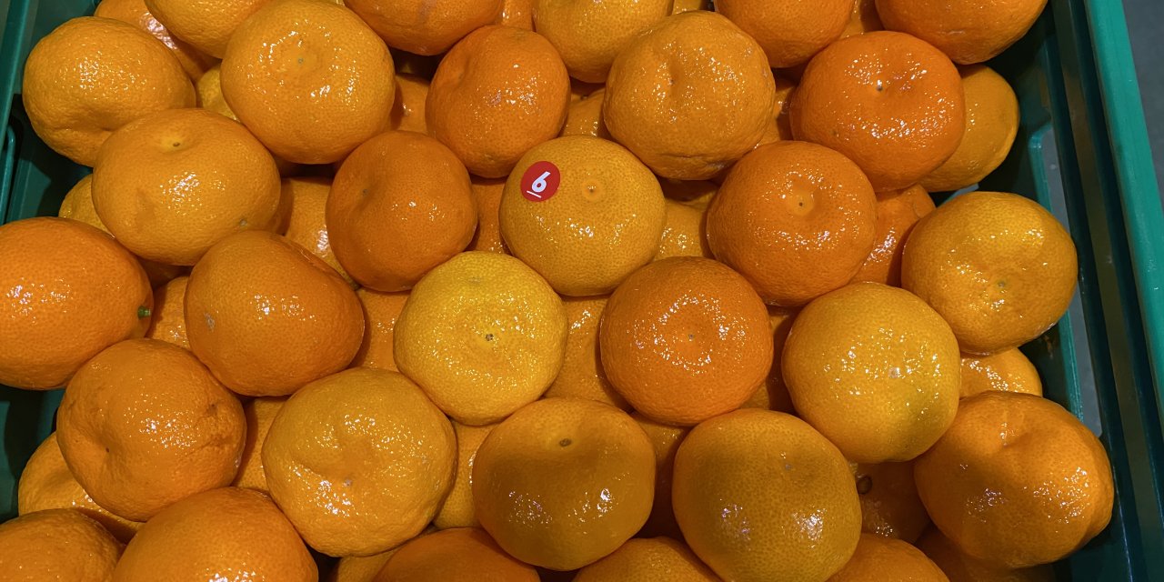Mandalina ihracatı 615  milyon dolarla rekor kırdı