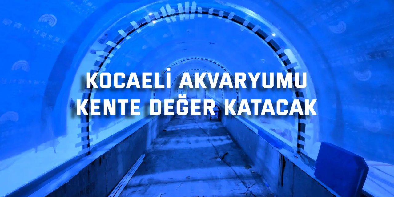 “Kocaeli Akvaryumu” turizmin cazibe merkezi olacak