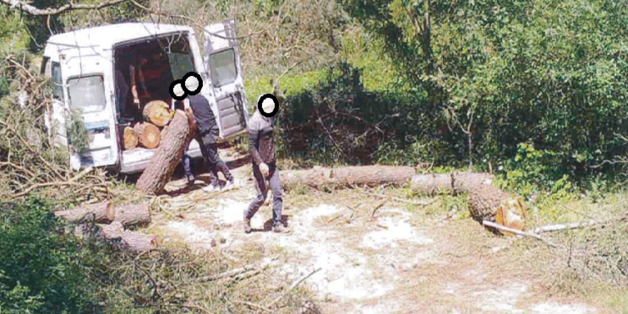 OGM’den kaçak kesimlere karşı 7/24 koruma