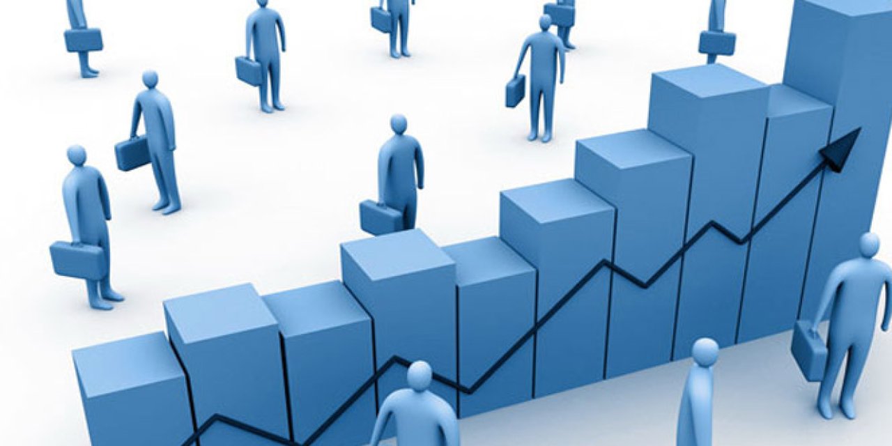 Şirket Kuruluşlarında Düşüş, Sermayede Artış