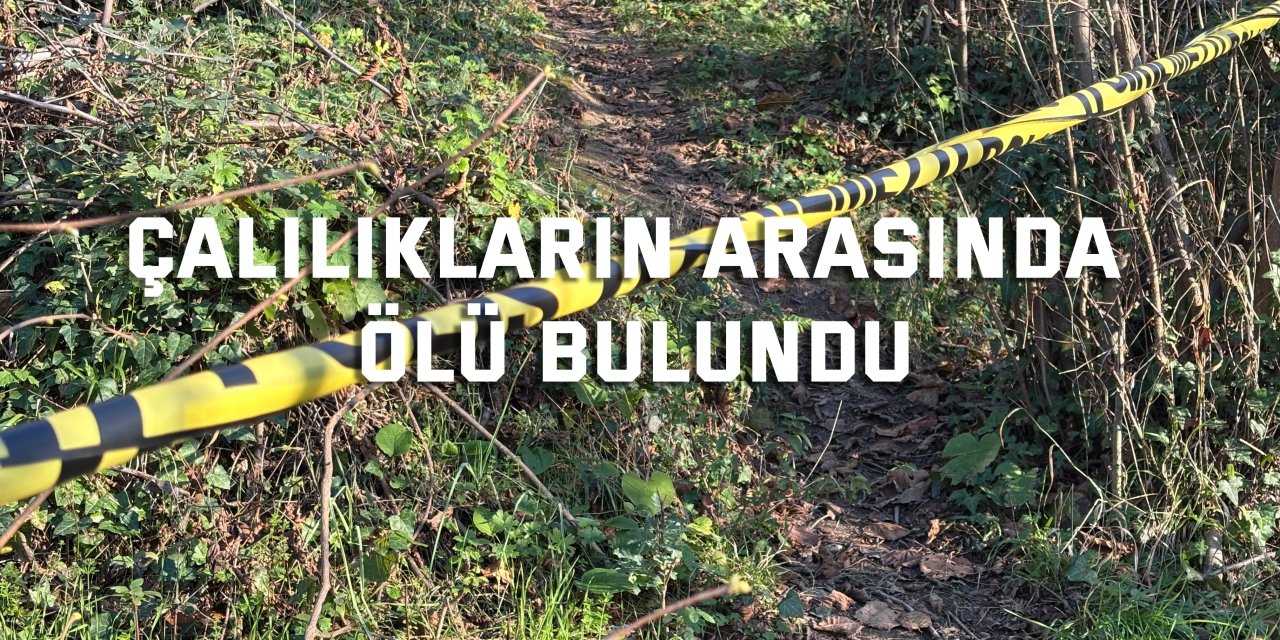 Çalılıkların arasında ölü bulundu