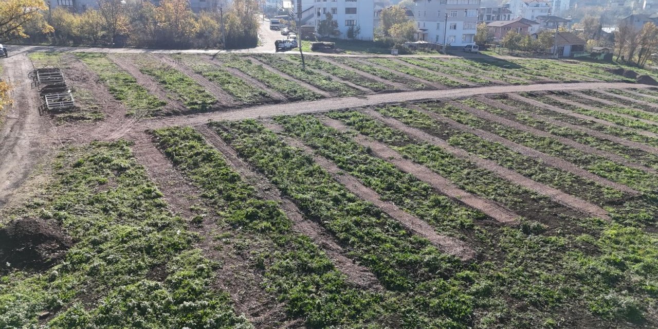Gölcük’e yeni mezarlık alanları hazırlandı