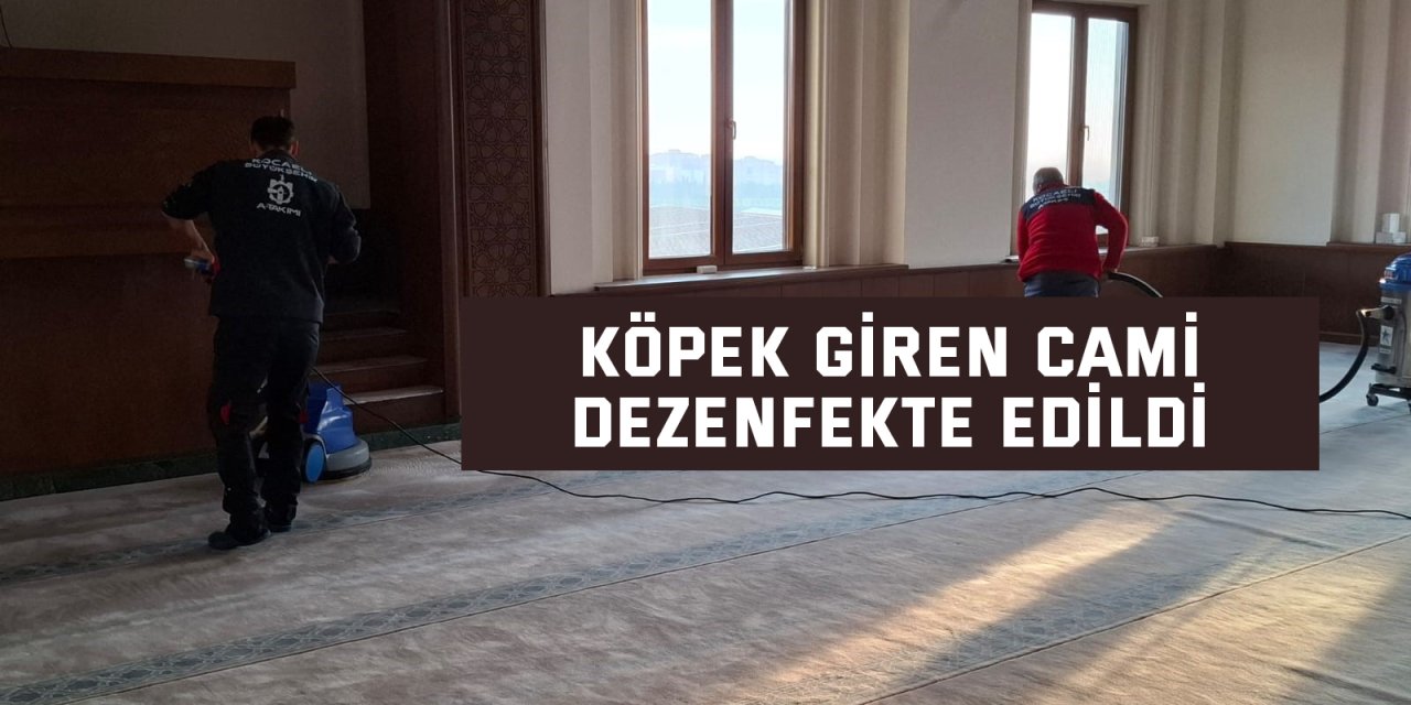 Köpek giren cami dezenfekte edildi