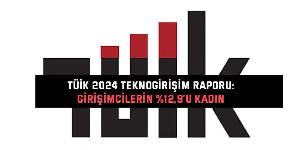 TÜİK 2024 TEKNOGİRİŞİM RAPORU:    Girişimcilerin %12,9’u Kadın