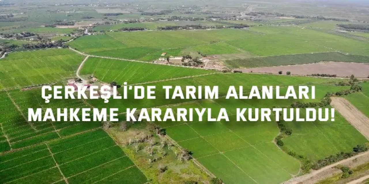 Çerkeşli’de tarım alanları  mahkeme kararıyla kurtuldu!