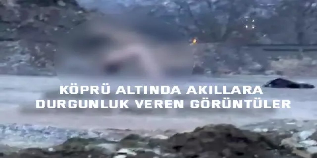 Köprü altında akıllara durgunluk veren görüntüler
