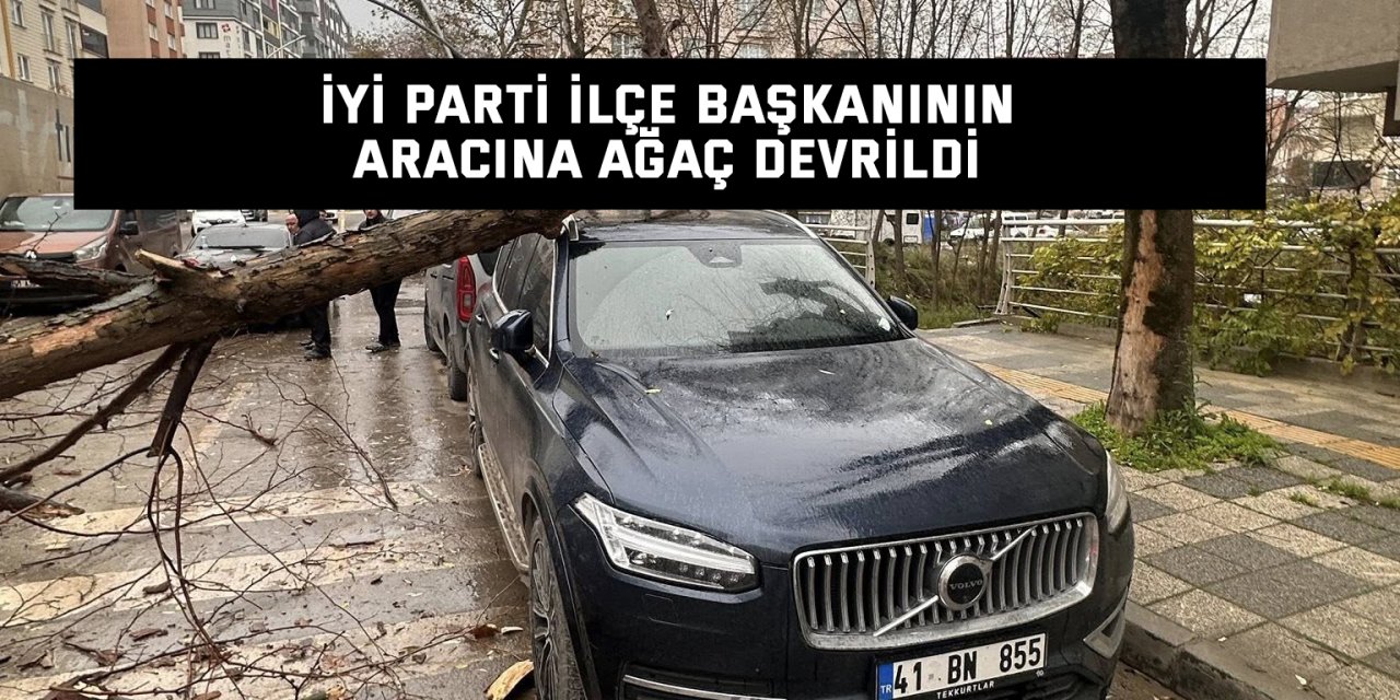 İYİ Parti İlçe Başkanının Aracına Ağaç Devrildi