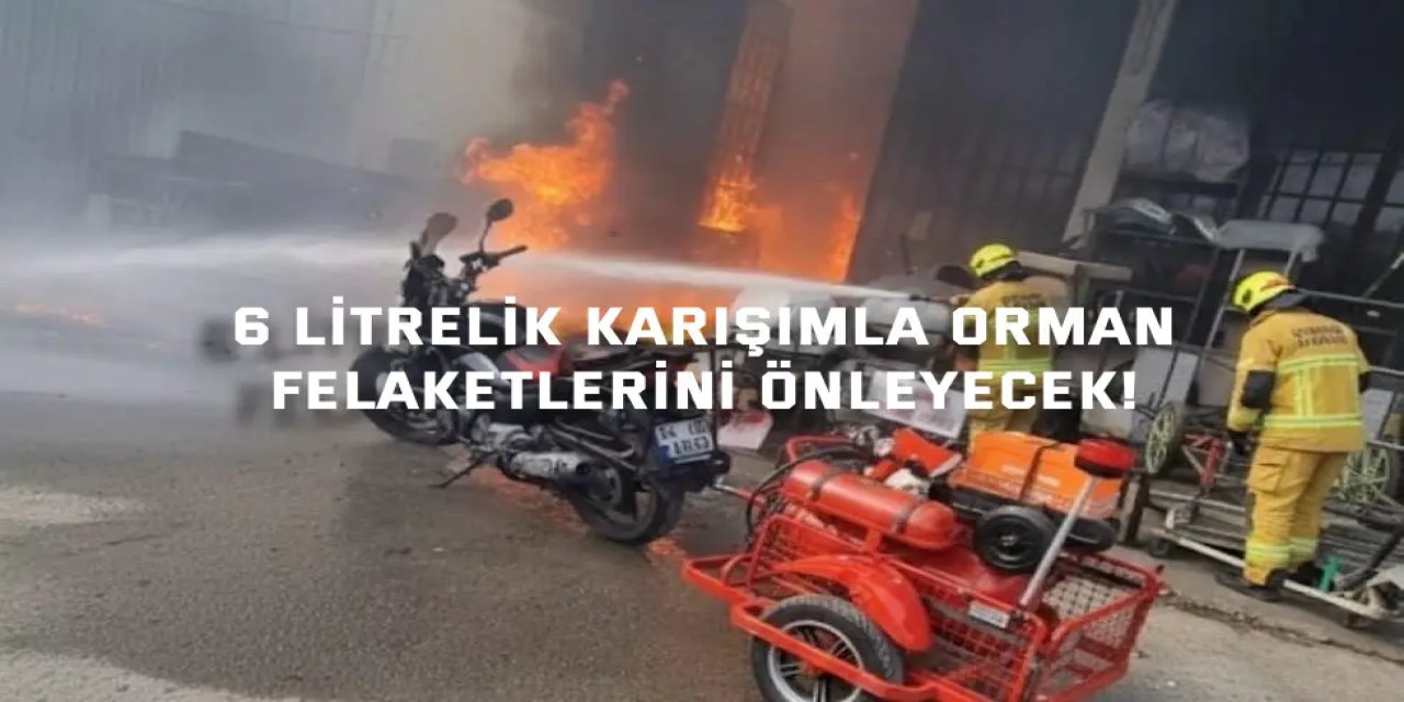 6 litrelik karışımla orman  felaketlerini önleyecek!