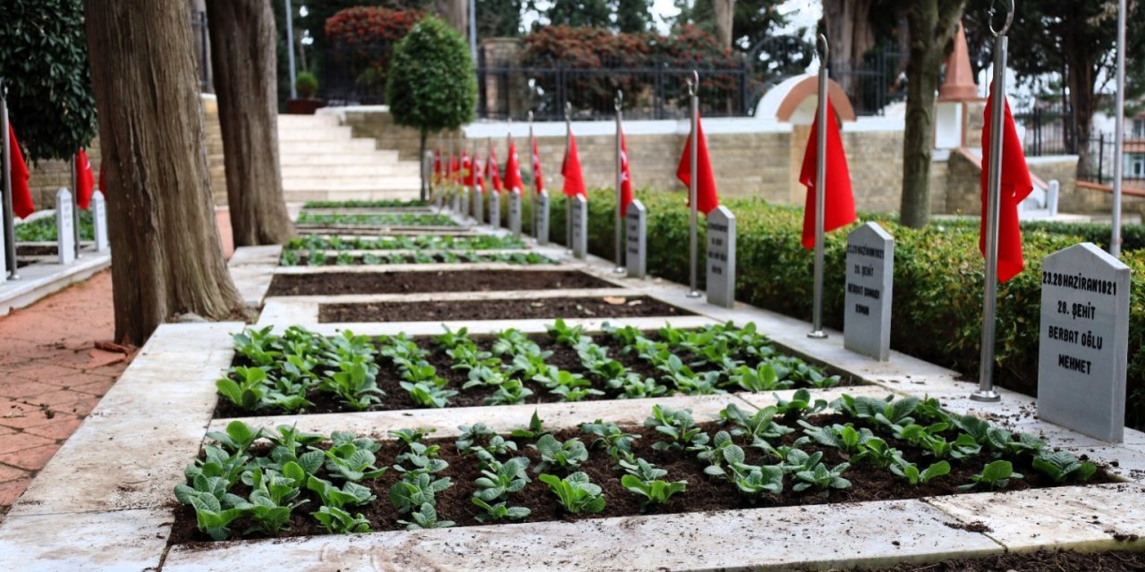 Şehitlerin emanetine özenli bakım