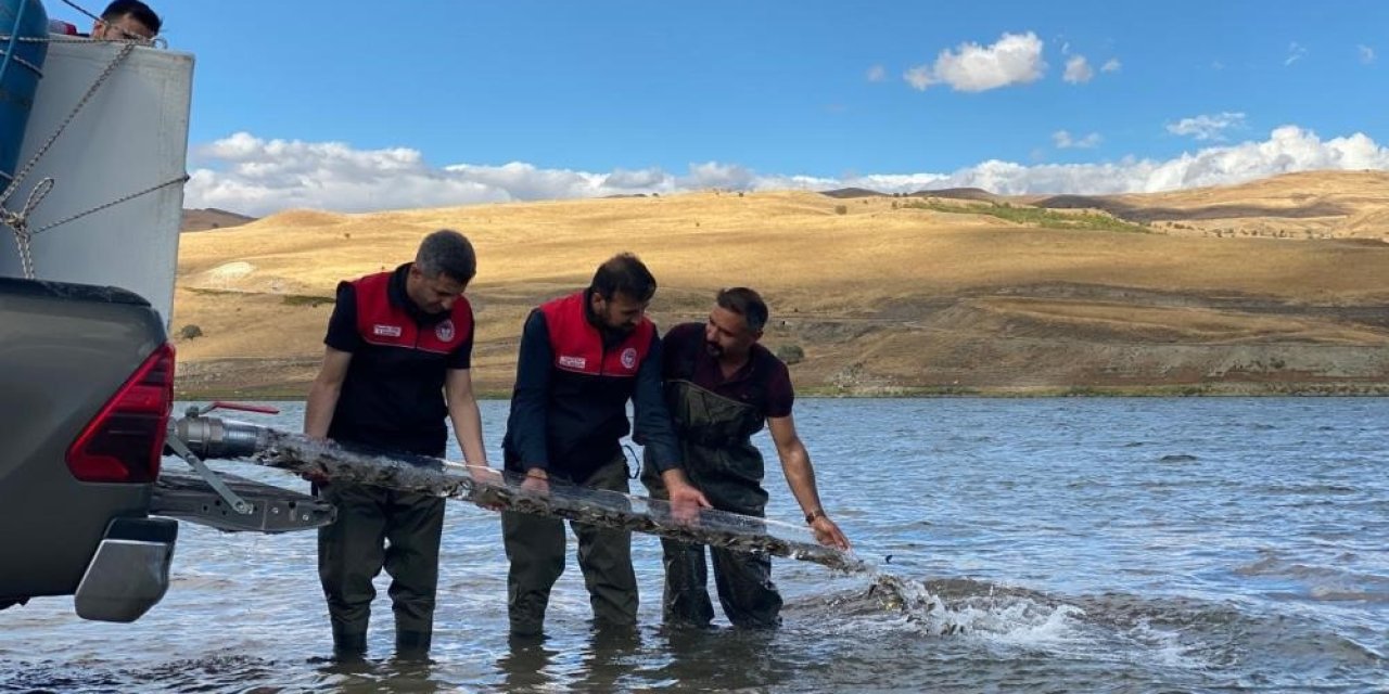 Türkiye nüfusu kadar balık  deniz ve göllere bırakıldı