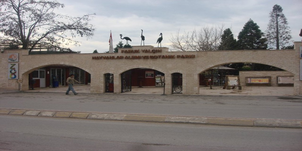 Kış Şartları Nedeniyle Darıca  Hayvanat Bahçesi Kapalı