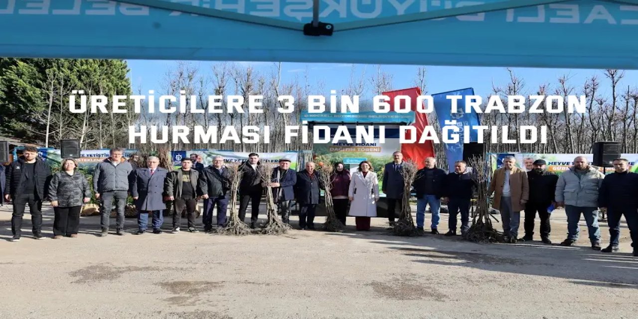 Üreticilere 3 bin 600 Trabzon  hurması fidanı dağıtıldı