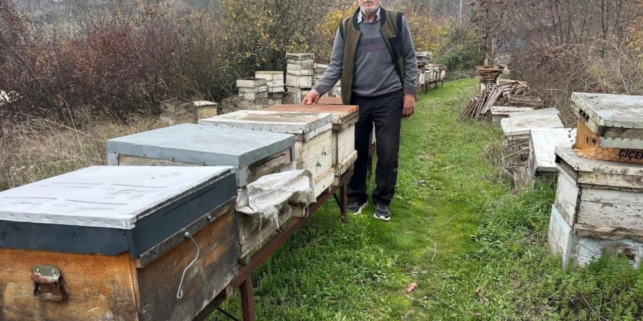 Zirai ilaç yüzünden milyonlarca  arısı kovana dönemeden öldü