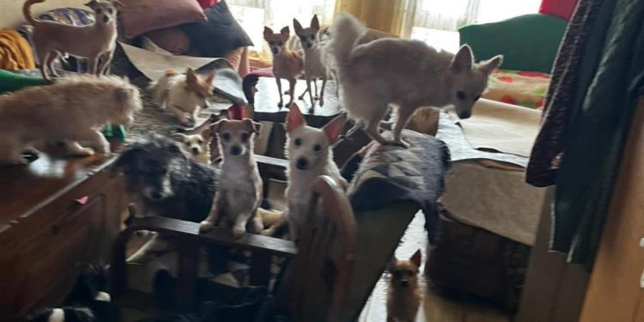 Kapı açılınca karşılaşılan manzara şoke etti