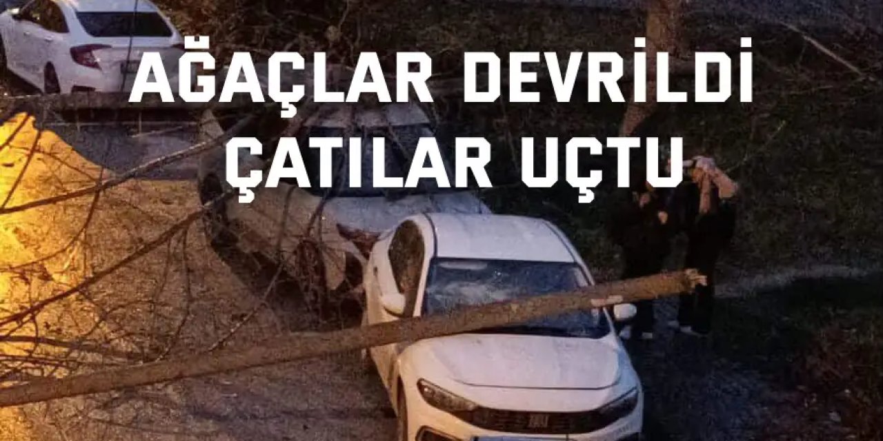 Kocaeli’de şiddetli fırtına ve sağanak etkili oldu: Ağaçlar devrildi, çatılar uçtu