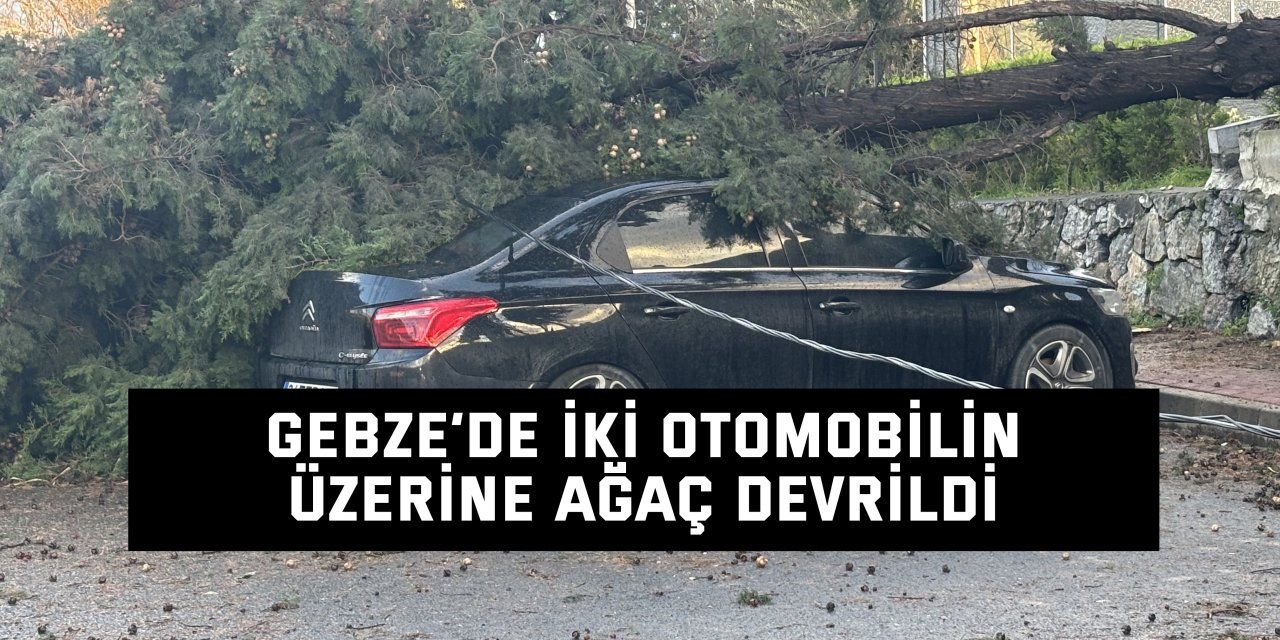 Gebze’de iki otomobilin  üzerine ağaç devrildi