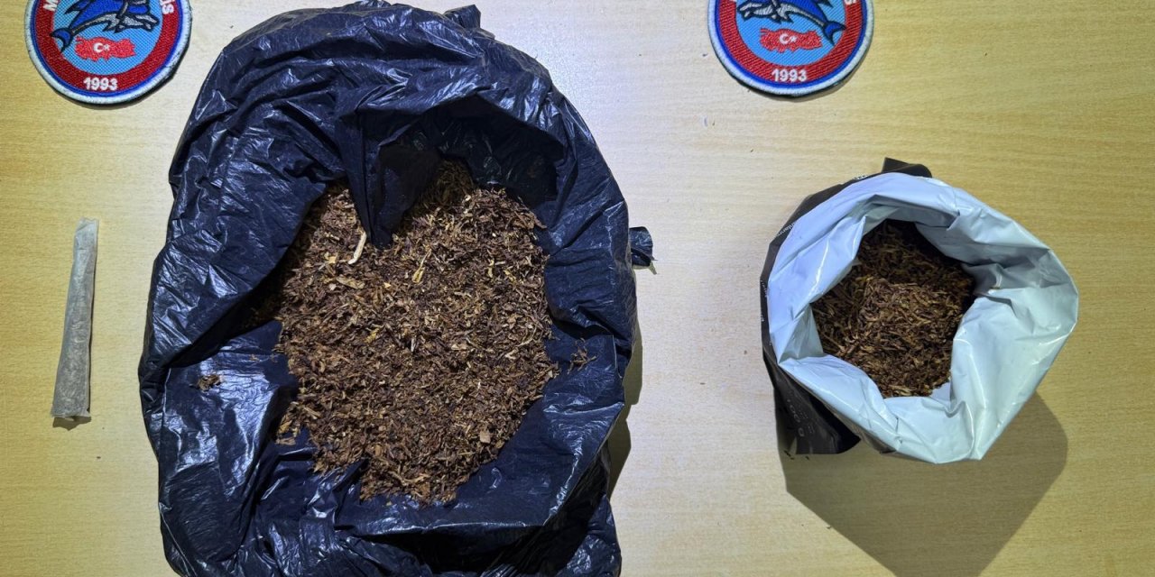 125 gram bonzai ile yunuslara yakalandı!