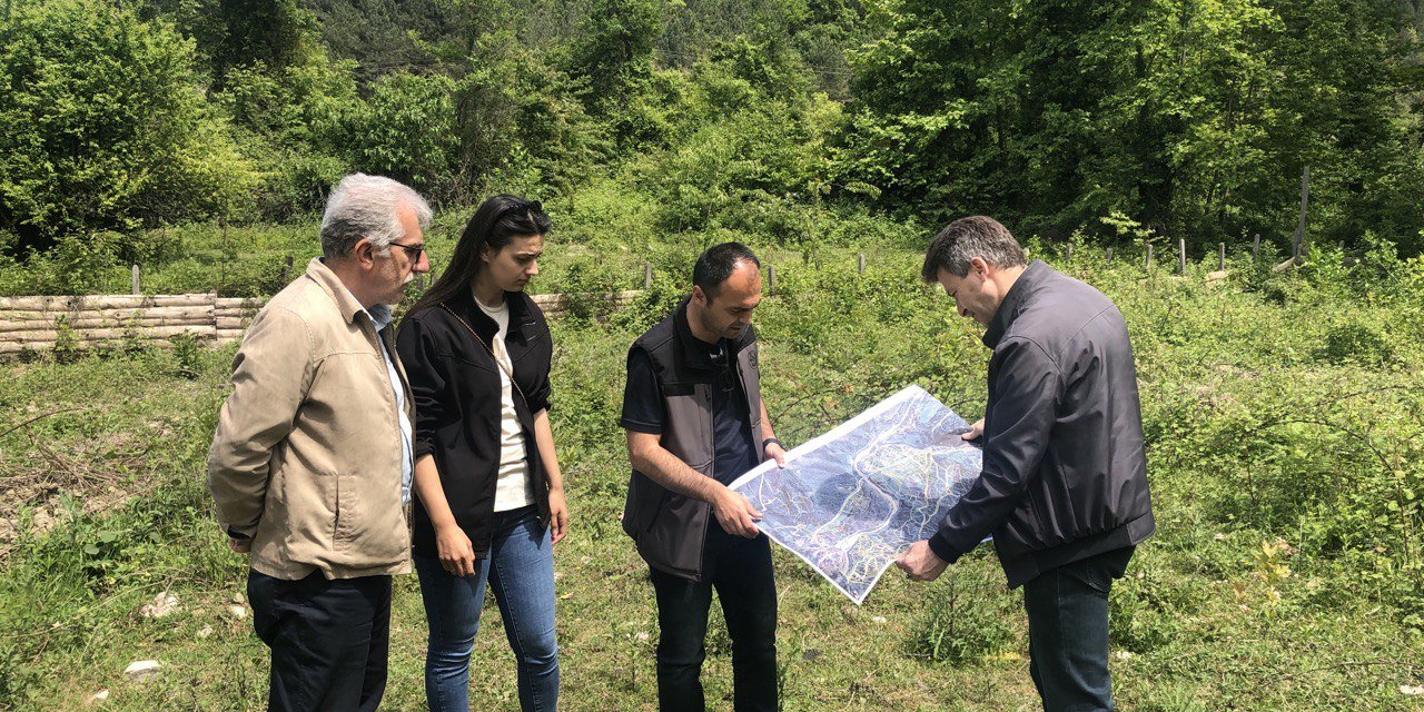 Orman Kadastrosu ve 2/B Yönetmeliği Değişti! İşte  Detaylar...