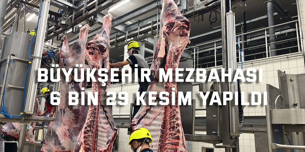 BÜYÜKŞEHİR MEZBAHASI    6 bin 29 kesim yapıldı