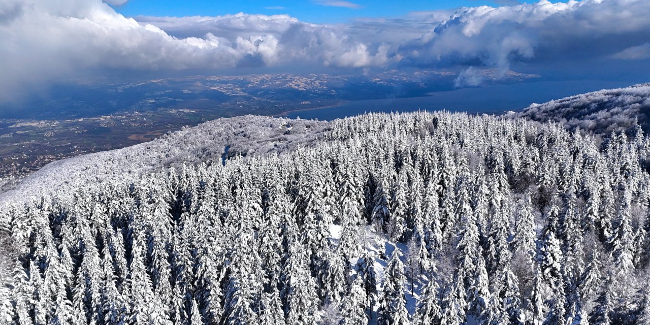 Beyaz, mavi ve yeşil birleşti