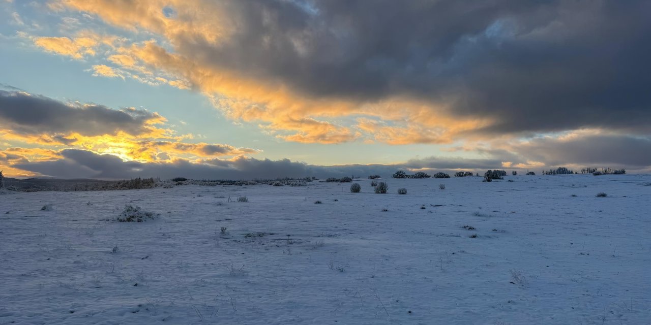 80 Yıllık Rezervden Şehitlik İçin Vazgeçildi!