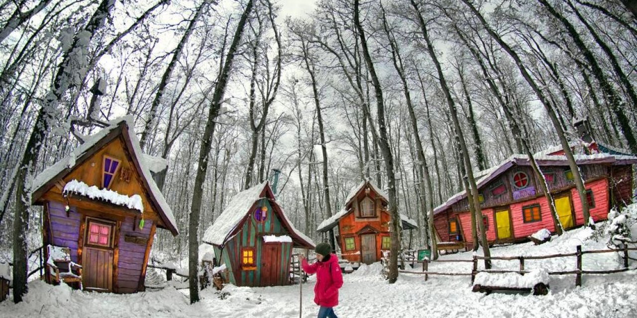 Ormanya beyaz örtüyle kaplandı