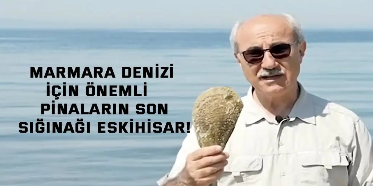 MARMARA DENİZİ İÇİN ÖNEMLİ    Pinaların son sığınağı Eskihisar!