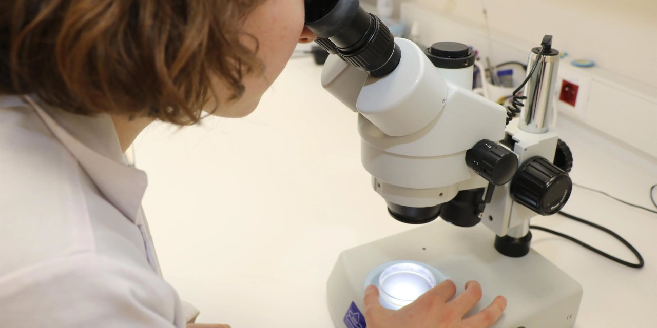 GTÜ Araştırmacı İstihdamında Zirvede