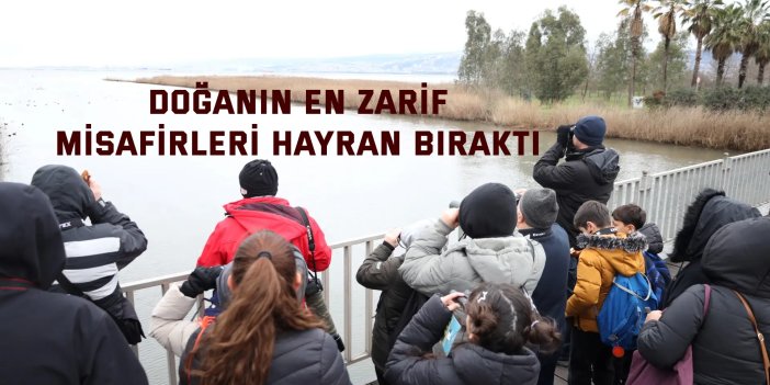 Doğanın en zarif misafirleri hayran bıraktı
