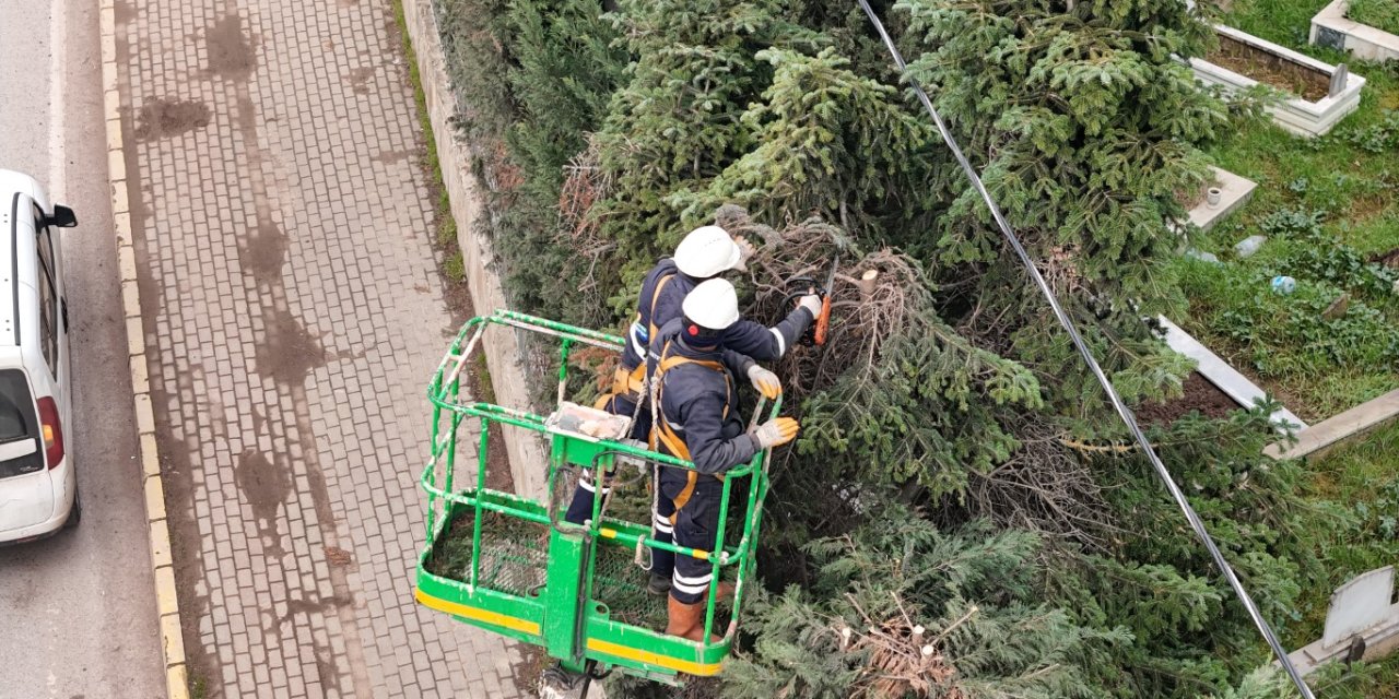 Yeşil Alanlara Düzenli Bakım